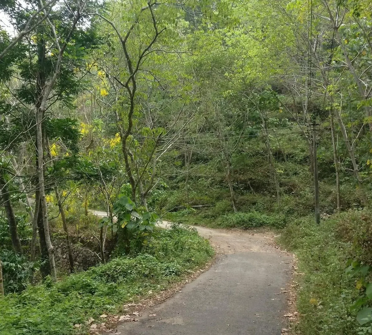 Apartment Ekam Retreat - One With Nature Kovillur
